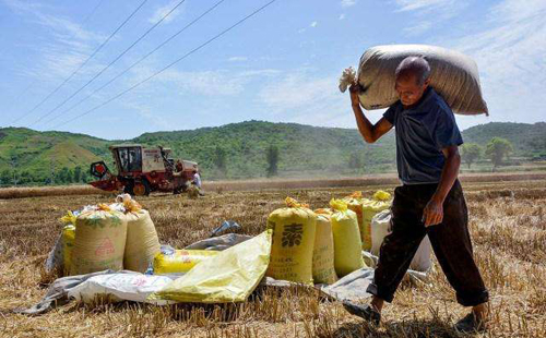如果农民能领退休工资，对社会有啥影响？