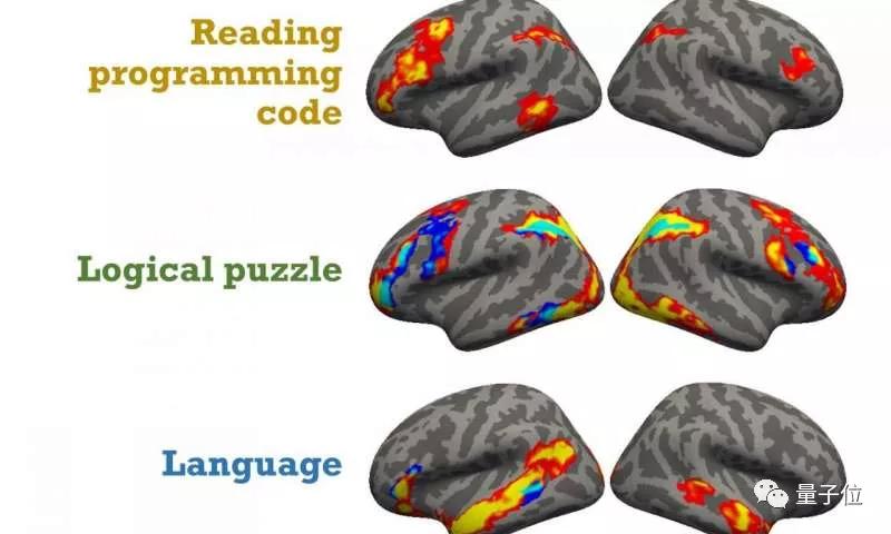 数学好＝编程能力强？MIT新发现：二者激活大脑区域并不同