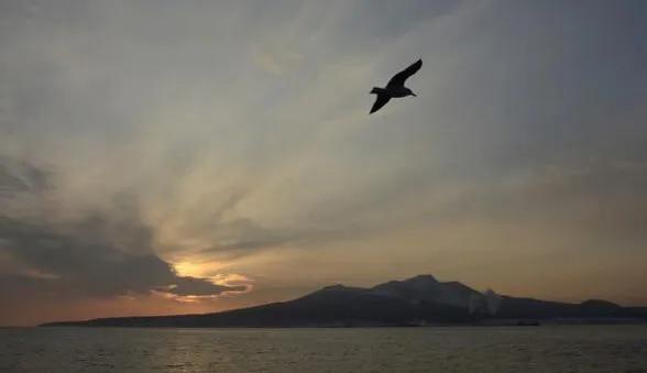 日本两大动作激怒俄罗斯，普京的大棒来得很果