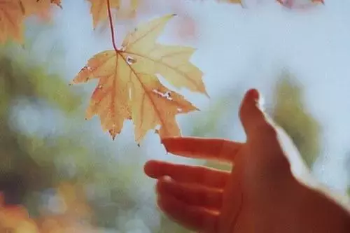 关于理解的优美句子摘抄大全 懂得理解对方的句子图片