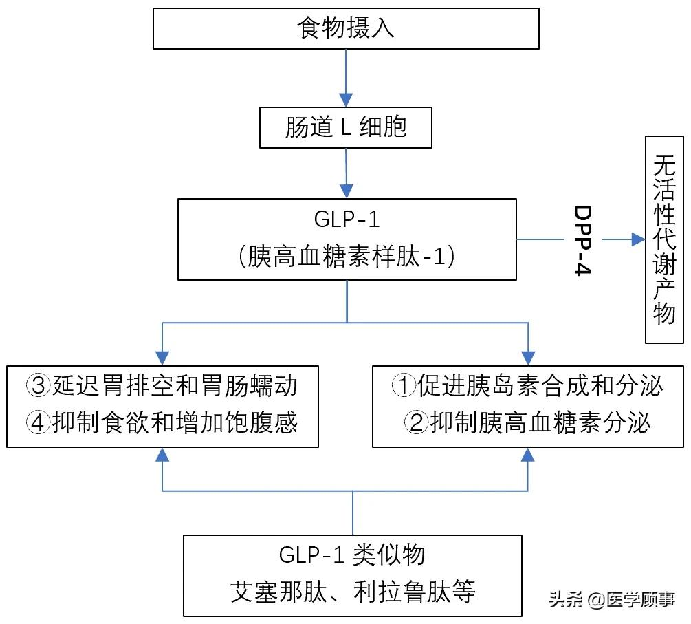 利拉鲁肽、艾塞那肽、度拉糖肽、利司那肽、贝那鲁肽之间的区别