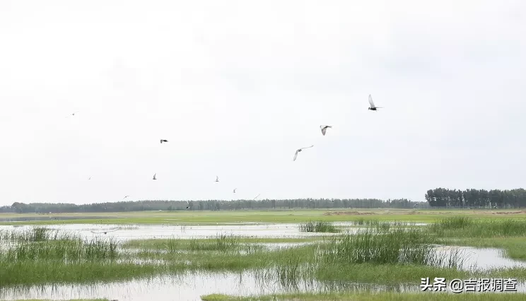 大安市五间房水库：绘制生态旅游发展新蓝图