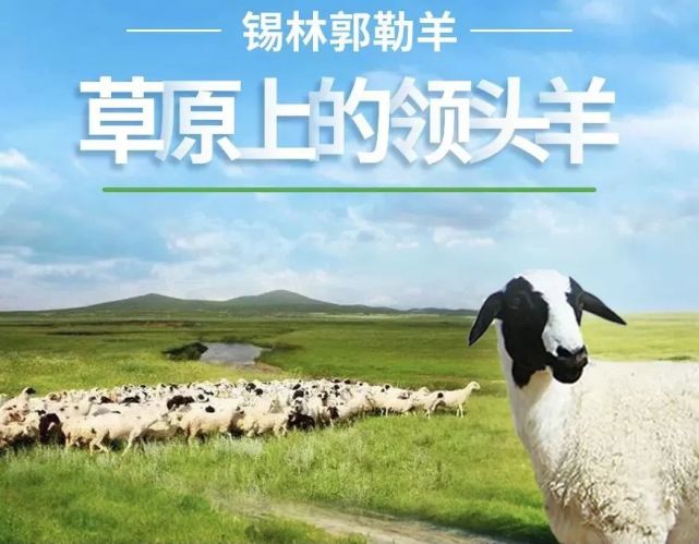 锡林浩特市——贝子庙及额尔敦十三敖包
