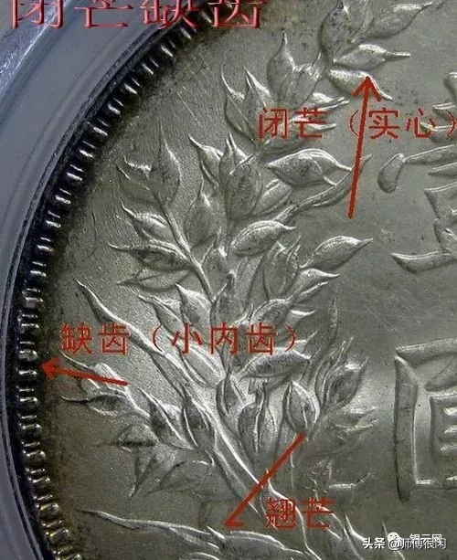 三年小嘉禾版又称三年九背