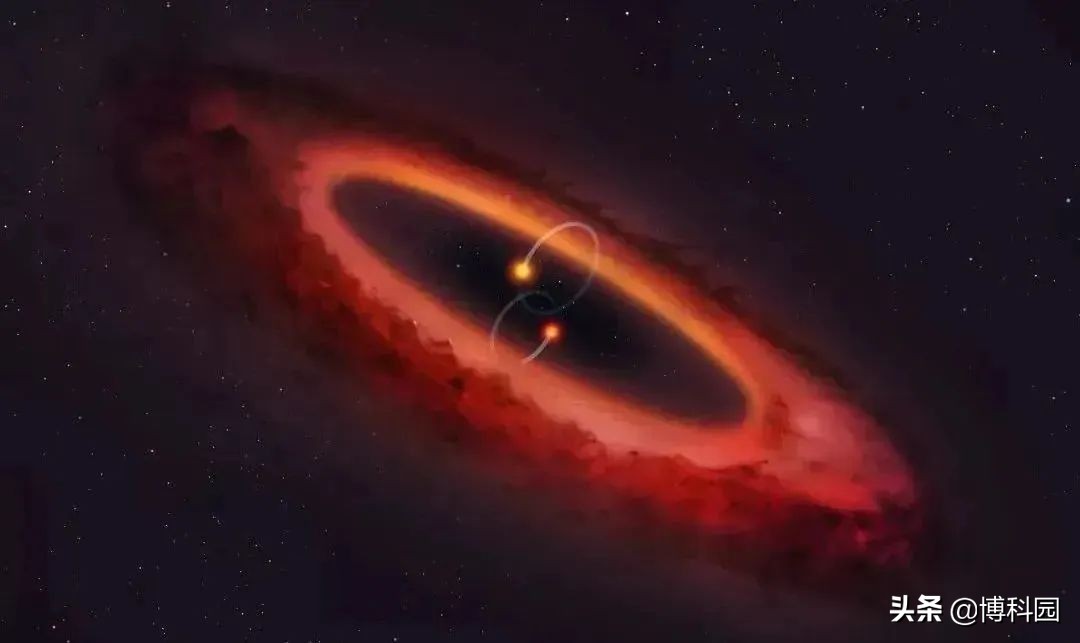 一点儿也不罕见，8%的红巨星有黑子，其中15%还是双星系统