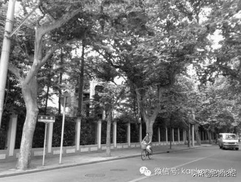 看懂上海：“神秘”康平路，长不到1公里，却是