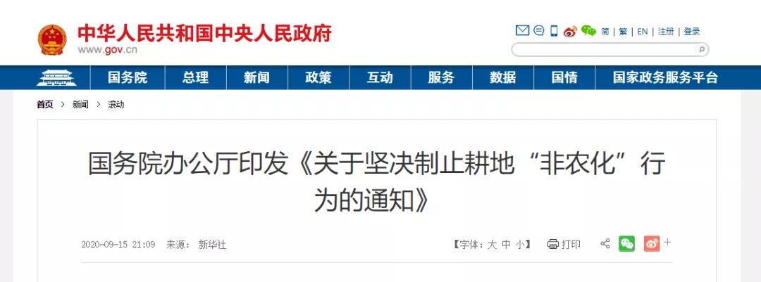 「最新苗木资讯」避免耕地“非农化”政策今朝实行的进度若何了？