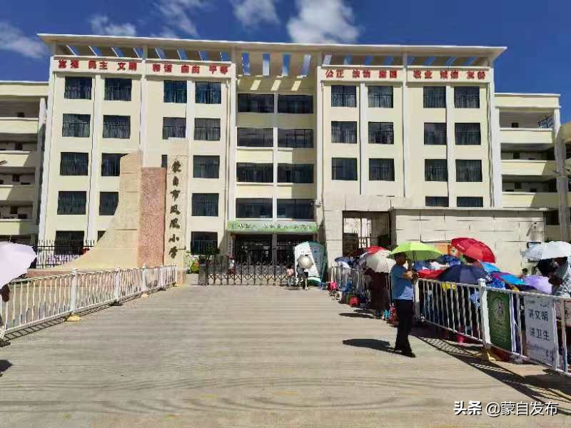 一年级新生报名工作有序开展_蒙自网-蒙自市综合性新闻门户网站