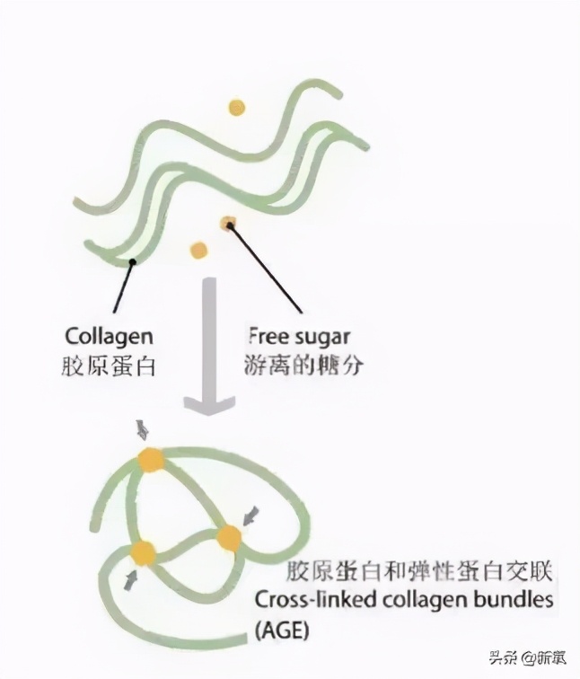 女明星们的好皮肤，当真是得益于戒糖吗？