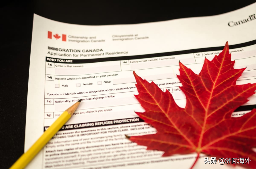 加拿大移民部长官宣：将考虑增加大赦配额！留学生第二次机会来了
