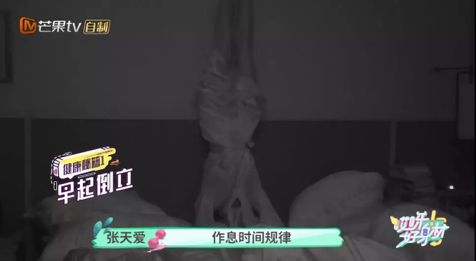 “要么瘦要么死”的那些女明星们，女明星能自