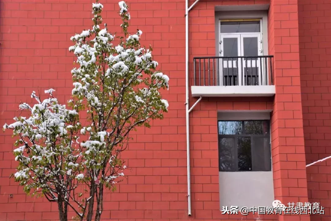 甘肃初雪|甘肃18所高校初学雪景大PK,快来看看有你的母校没?