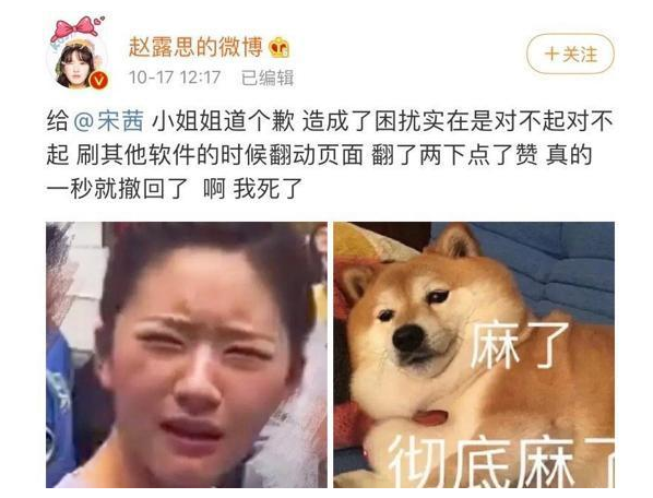 被汪涵力捧，却遭于正内涵，女神赵露思上位背后并不简单