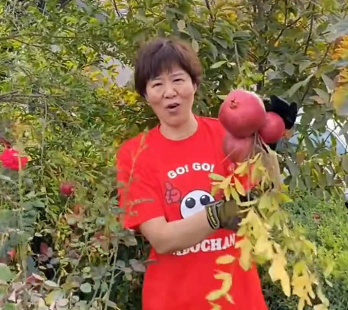 郎平三百平豪宅曝光，中西结合好奢华，屋外被草坪环绕有专属菜园