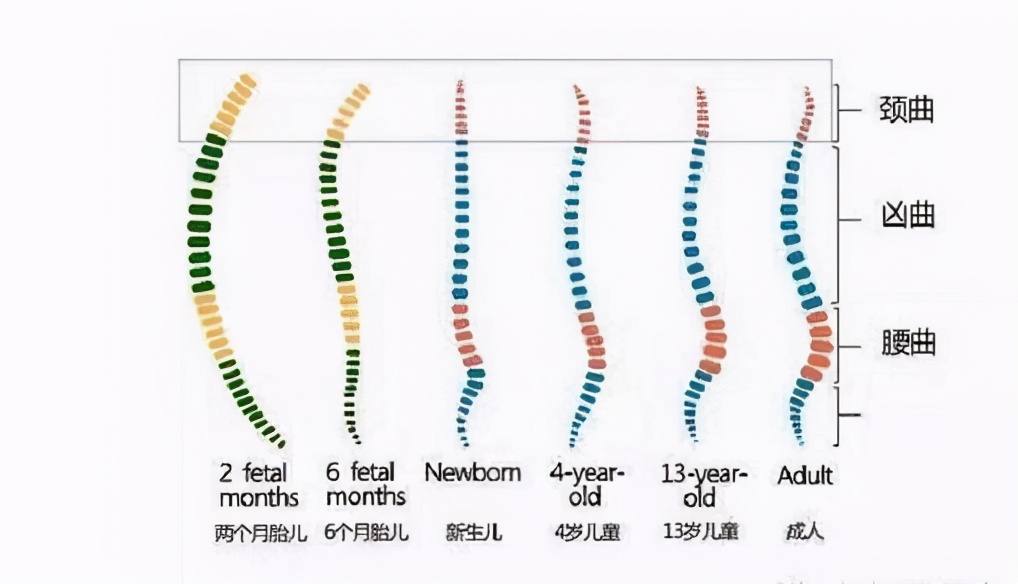 怎样抱小孩是正确方法