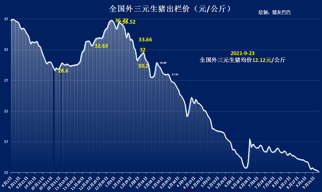 猪市“熊势翻天”，猪价断崖下挫，年内下跌超67%，旺季反弹呢？