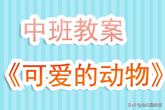 幼儿园中班教案《可爱的动物》含反思