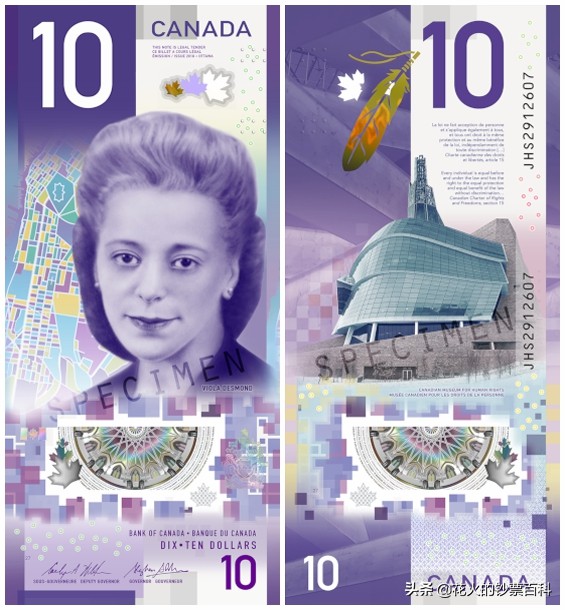 全世界钱币排名前二十（国际前二十个钱币）