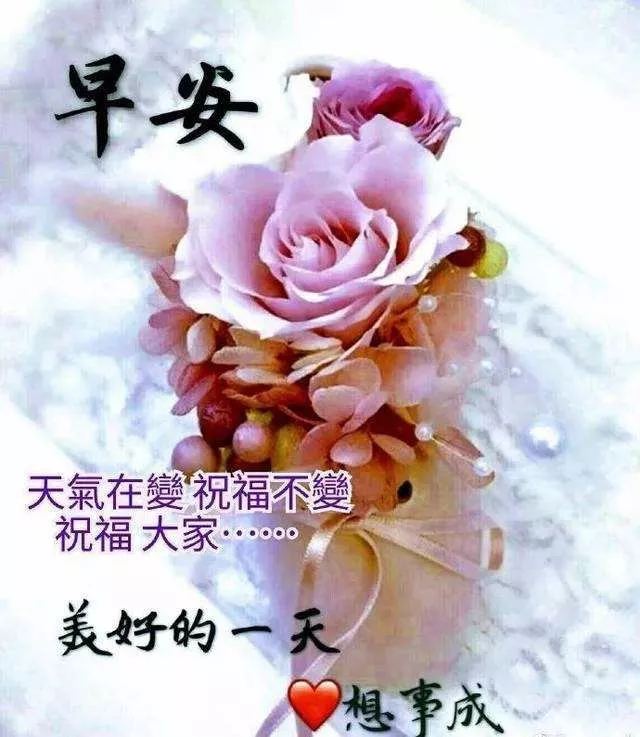 尘世间,有个能懂你的人,是多么重要,大家早晨好