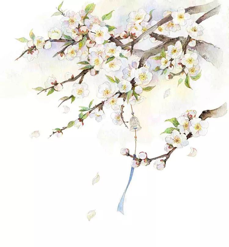 古风美物插画 | 裁为合欢扇，团团似明月