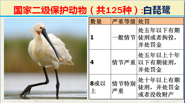 国家最新125类二级野生保护名录，图片及违法对应刑责