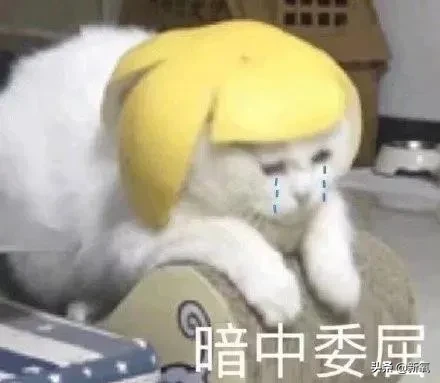 恶意剪辑流量收割太好用,这次轮到张天爱被坑了