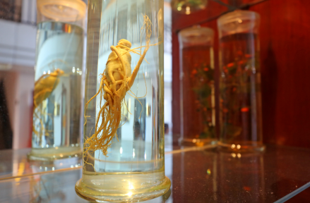 河南省中医院：倾心塑造百姓身边的中医药文化品牌