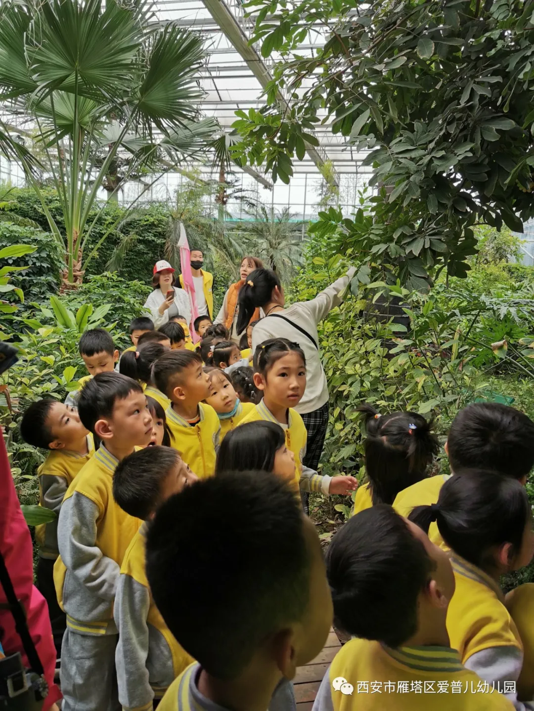 ����عˡ����ն��׶�԰�а�����ѧ��ʵ�߽���δ��