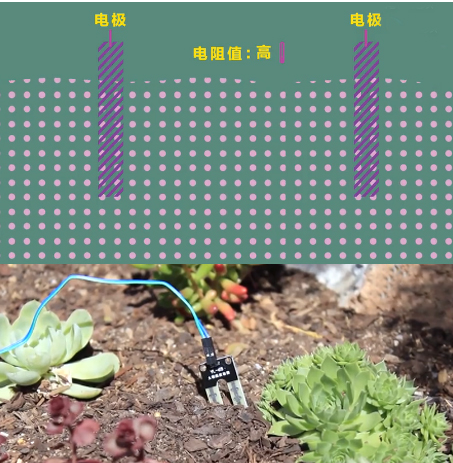 常见的湿度传感器有哪些