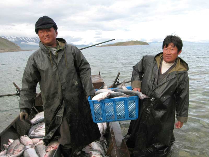 賽里木湖：高白鮭移植20年，如今成冷水魚“寶藏”？