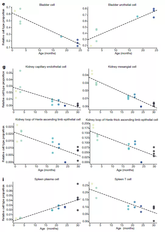 Nature背靠背 | 揭示衰老秘密（一） ：小鼠衰老组织的单细胞图谱