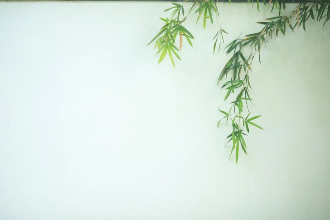 8首绝美古诗词，一眼沉醉，惊艳了千年的时光-第5张图片-非凡网
