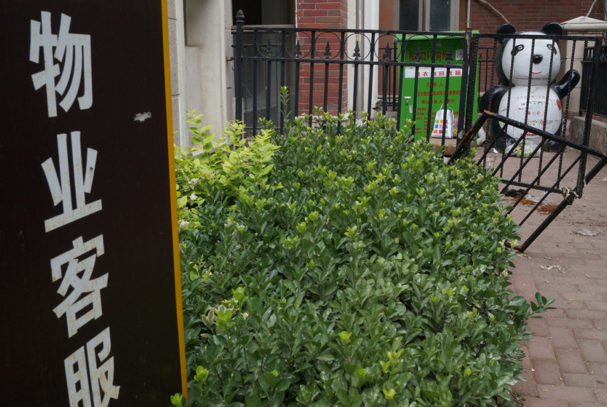 贵但不违法？停车费包月2000元，加上物业费每月