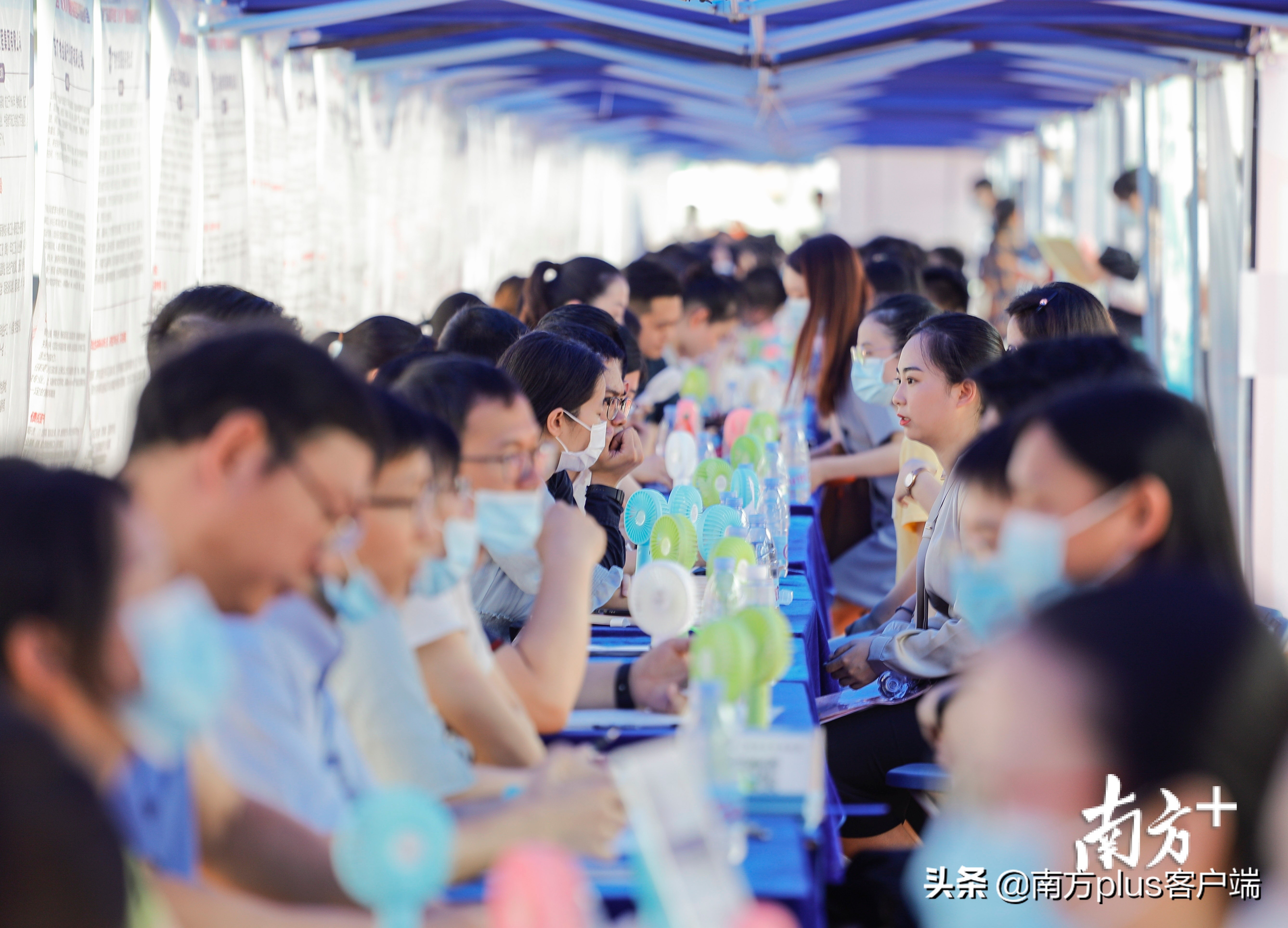 The college is graduate this year 9.09 million innovation is tall, come " those who fight consenescence " does Guangdong spell how? 