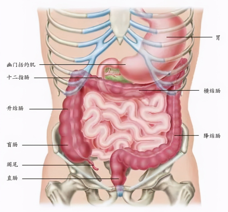 你天然拥有的无价之宝&mdash;&mdash;身体