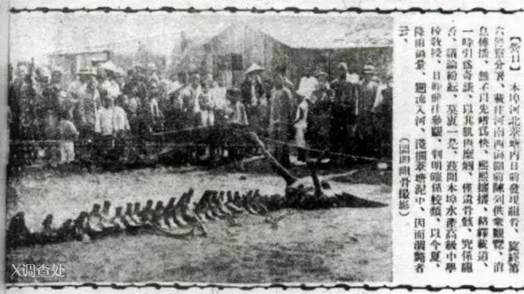 近百年来,世界15大未解之谜!-第20张图片-大千世界 近百年来,世界15大未解之谜!-第20张图片-大千世界