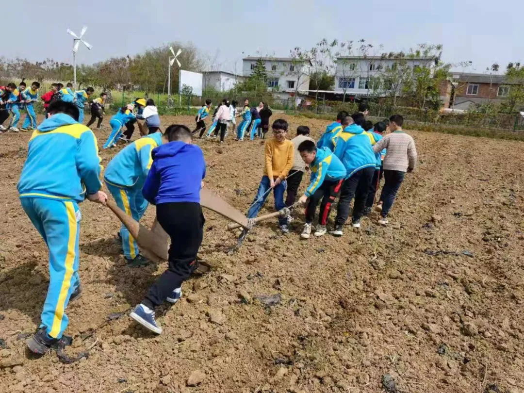 享农趣、觅农情,成都市龙泉驿区第五小学校“农耕”文化节来袭