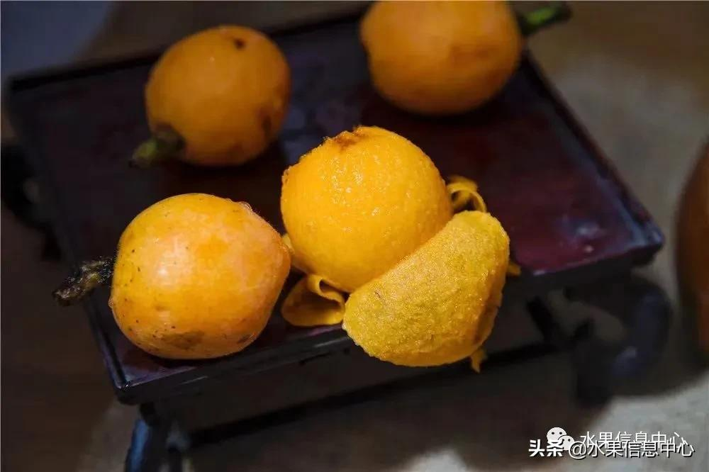 中國(guó)到底哪里的枇杷最好吃?