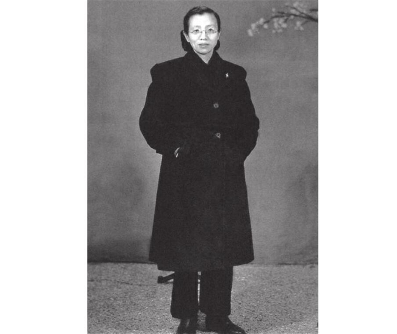 陈修良：潜伏南京从未暴露，策反国军轰炸总统