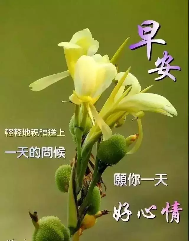微信新版特别漂亮早上好动态图片带字 清晨问候早上好句子大全图片
