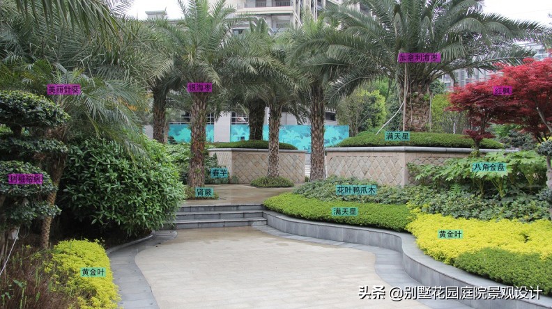 別墅庭院常用植物分享，附照片及名字標(biāo)注（珍藏版）