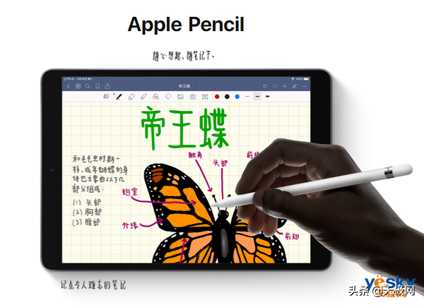 iPad mini阔别四年迈入升级 旧外型下确是当今最強特性