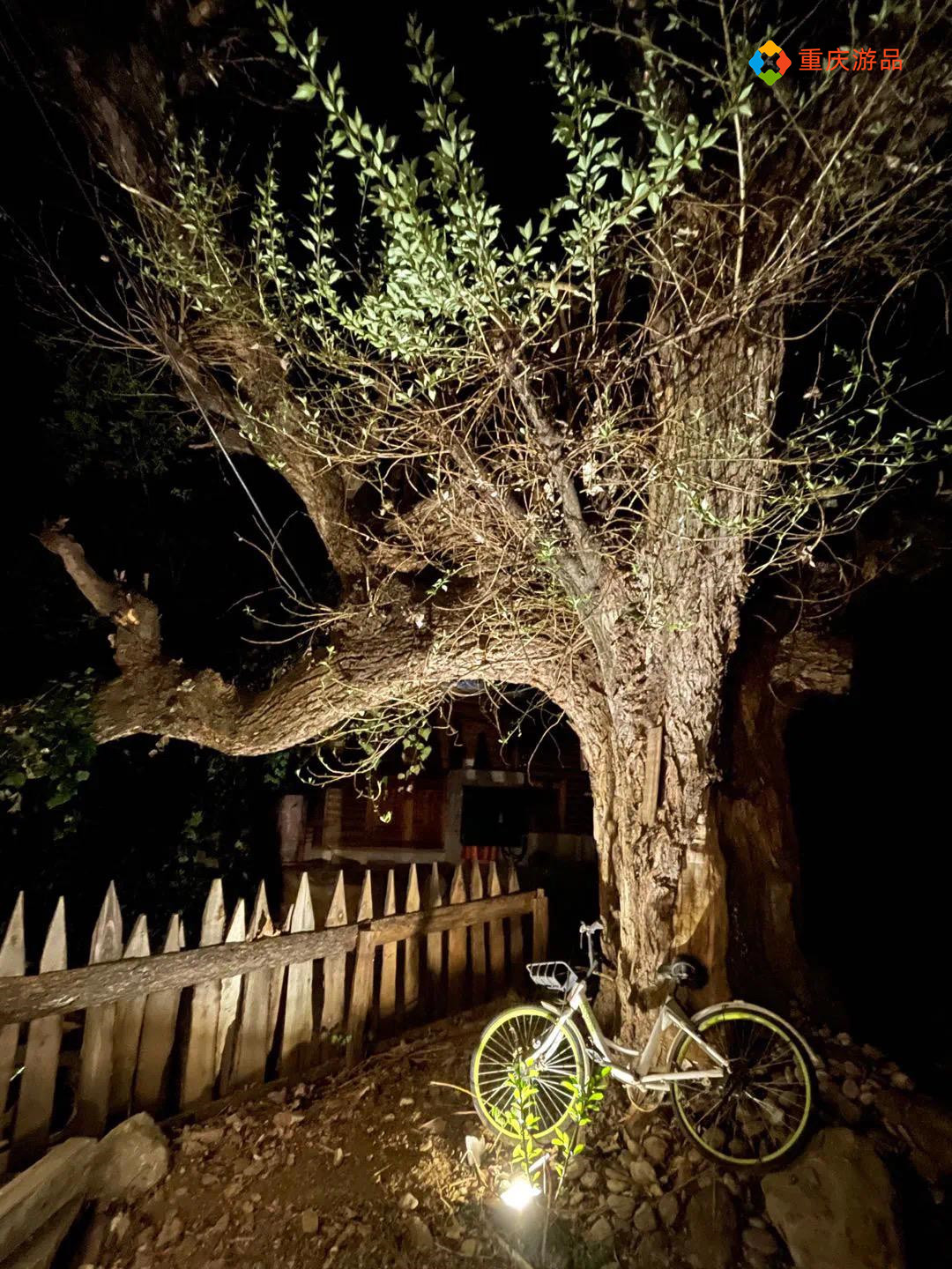 ​重庆小两口环游中国：在泸沽湖被冻得发抖，只能吃自热锅和泡面