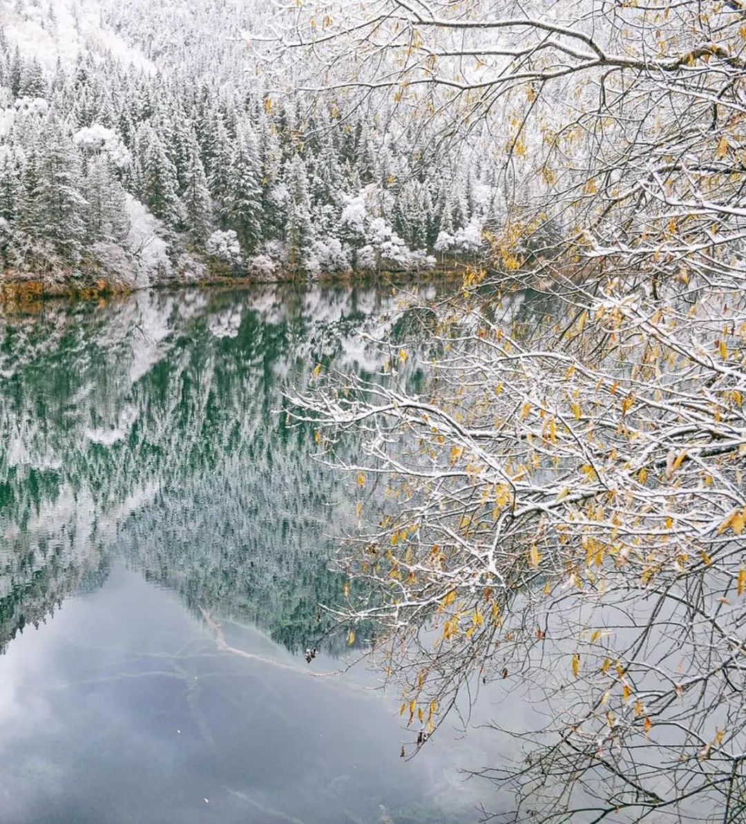 初雪来袭，关于雪的古诗美了整个冬天-第4张图片-诗句网