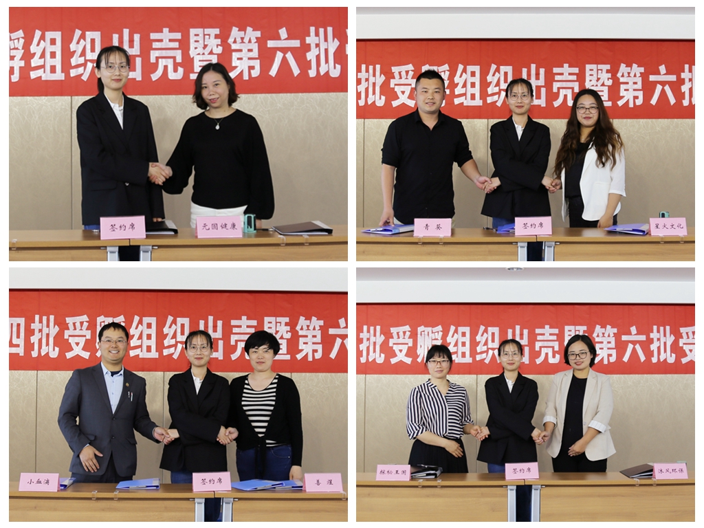5家出壳，7家入孵！苏州巾帼公益园启动新一期两年孵化培育工作