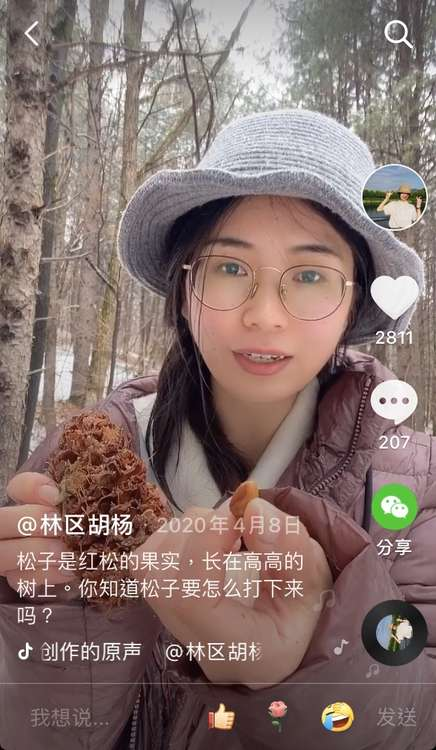95后女孩“隐居”小兴安岭采蘑菇，网友：把日子过成了诗