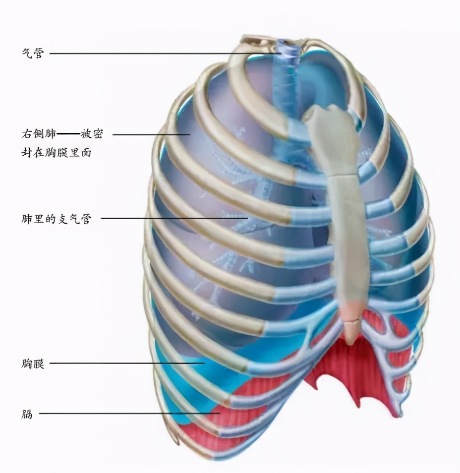 你天然拥有的无价之宝&mdash;&mdash;身体