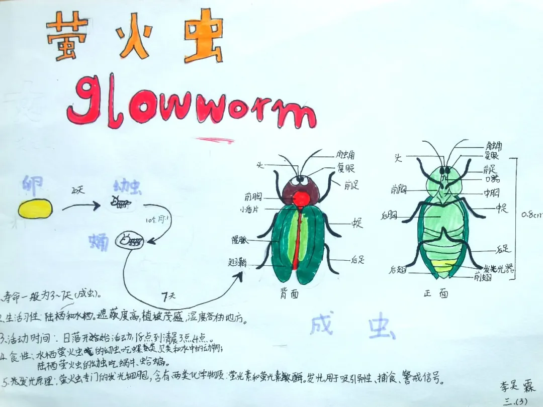 玩转科技节，开广好奇心——天府新区华中附小首届科创节活动