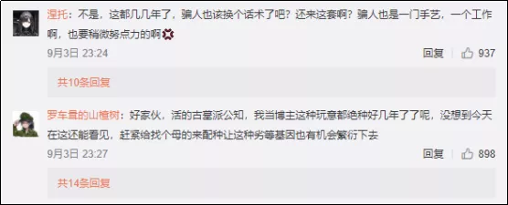 公知正统在日本,世界文明在巴黎(狗头)