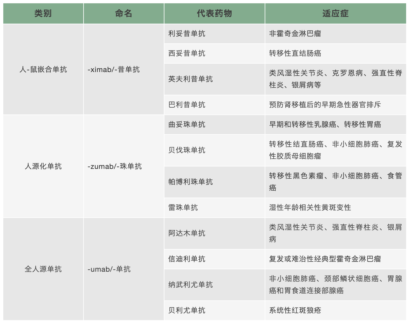 靶向药物治疗之单克隆抗体的发展